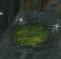 Item Étrange relique.jpg