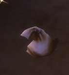 Item Étrange sac souillé.jpg