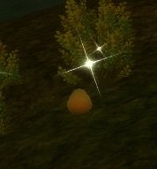 Item Œuf de boa des marais (lieu).jpg