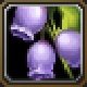 Item Baie Fleurouge.jpg