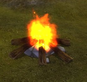 Item Bois pour barbecue.jpg