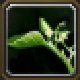Item Brin d'herbe (Collines Sabotonnerre).jpg