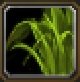 Item Brin d'herbe éventépine.jpg