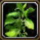 Item Brin d'herbe mutante.jpg