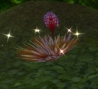 Item Buisson fleurs rouges Keluo.jpg