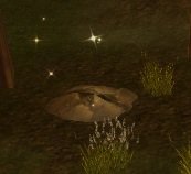 Item Cache runique appropriée 1.jpg