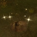 Item Cache runique appropriée 2.jpg