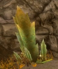 Item Cactus Grandent.jpg