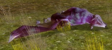 Item Cadavre de loup roux Salvond.jpg