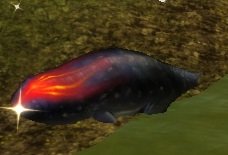 Item Cadavre de triton.jpg