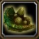 Item Carapace de tortue.jpg