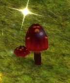 Item Champignon de chenille (plante).jpg