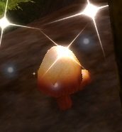 Item Champignon du Bosquet Kaluga (plante).jpg