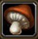 Item Champignon volé.jpg