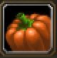 Item Citrouille non polluée.jpg