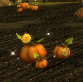 Item Citrouille non polluée (plante).jpg