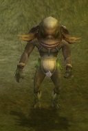 Item Danseur rituel de Luzan Bodo.jpg