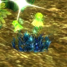 Item Feuille de cannelle jaune (lieu).jpg