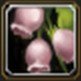 Item Fleur Bellscenti intacte.jpg