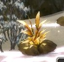 Item Fleur de Kidoli.jpg