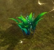 Item Fleur de blé (plante).jpg