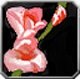 Item Fleur de pommier de l'amitié.jpg