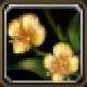 Item Fleur de réveil.jpg