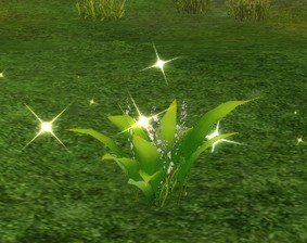 Item Fleur des neiges.jpg