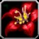Item Fleur moucharde.jpg
