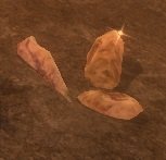 Item Fossile primordial.jpg