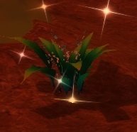 Item Fougère calme (plante).jpg