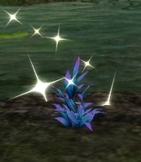 Item Herbe antidote (plante).jpg