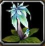 Item Herbe de lune.jpg