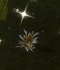 Item Herbe de répugnance (plante).jpg