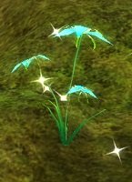 Item Herbe palpitante (plante).jpg