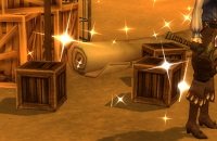 Item Marchandise volée.jpg