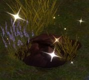 Item Marqueur de piège.jpg