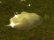 Item Monticule surnaturel.jpg