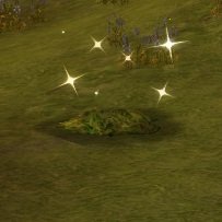 Item Motte de sacrifice.jpg
