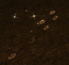 Item Nouvelles empreintes de pas suspectes.jpg