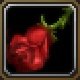 Item Petite fleur rouge.jpg