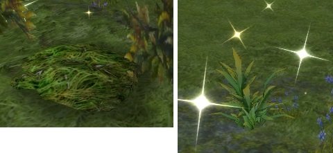 Item Piège de chasseur (Vallée d'Aslan).jpg