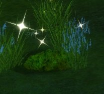 Item Piège posé par des aventuriers.jpg