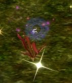 Item Plante anormale.jpg