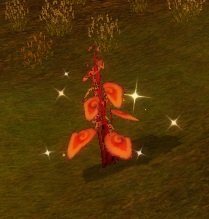Item Plante rouge bizarre.jpg