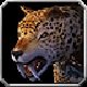 Item Potion de transformation en léopard des forêts.jpg
