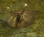 Item Rasoir abandonné.jpg