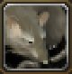 Item Rat puant.jpg