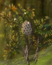 Item Ruche.jpg