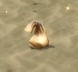 Item Sac rejeté.jpg